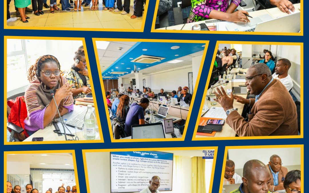 From Visualization to Validation: AfRes-Data ECR Fellowship Cohort 2 Training Workshop 2 – Kenya