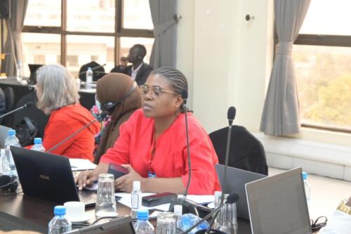 Chair of UAPS Gender Equality panel